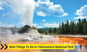 Best Things To Do in Yellowstone National Park